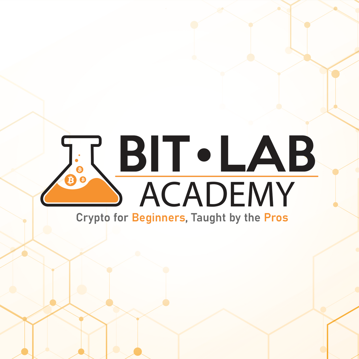 BitLab Academy – HITMerch.com